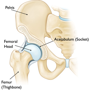 Hip Knee and Shoulder Specialist In Nashik